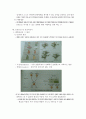 생명과학의 이해 요약정리 : chapter 2 ~ 8 29페이지