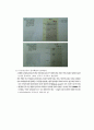 생명과학의 이해 요약정리 : chapter 2 ~ 8 33페이지