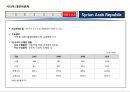 시리아 국가정보 및 개황 정리 9페이지