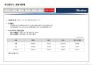우크라이나 국가정보 및 개황 정리 28페이지
