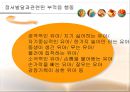 제15강 아동생활지도 - 부적응행동을 중심으로.ppt 5페이지