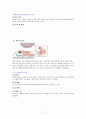 [성인]폐암 CASE (lung cancer CASE) 11페이지
