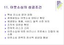 Outsourcing(아웃소싱).ppt 18페이지