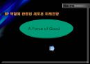 초 국적기업으로서의 BP.ppt 40페이지