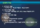 만성 신부전 환자(CRF) 진단, 간호, 투석.ppt 4페이지