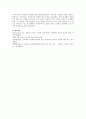 피아제의 인지발달 이론에 대해 요약 정리 4페이지