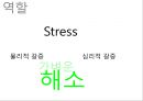10대를 위한 아이스크림 콘 new brand 런칭 커뮤니케이션전략 33페이지