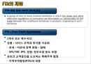 한미 FTA 이해 및 의약분약 파급효과 분석 9페이지