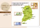 [A+] [관광상품기획] 지폐야 노~올자 - 수학여행에 지폐를 접목시킨 관광상품기획, 지폐관광, 지폐박물관, 관광아이디어, 수학여행 문제점 및 개선방안, 수학여행 코스, 아이디어 현실화방안.ppt 14페이지