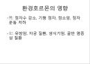 [환경호르몬][내분비계장애물질]환경호르몬(내분비계장애물질)-환경호르몬 성질, 환경호르몬 종류, 환경호르몬 영향, 환경호르몬작용, 환경호르몬 피해사례, 환경호르몬에 대한 대처방안, 환경호르몬 노출 막는 방법 10페이지