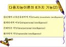 학습자의 지적 특성과 발달 14페이지