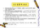 학습자의 지적 특성과 발달 16페이지