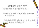 학습자의 지적 특성과 발달 19페이지
