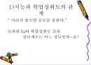 학습자의 지적 특성과 발달 28페이지