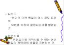 학습자의 지적 특성과 발달 41페이지