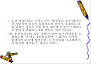 학습자의 지적 특성과 발달 42페이지
