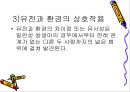 학습자의 지적 특성과 발달 44페이지