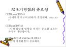 학습자의 지적 특성과 발달 51페이지