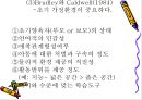 학습자의 지적 특성과 발달 53페이지