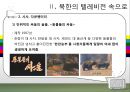 북한 TV의 즐거움 속으로.ppt 16페이지