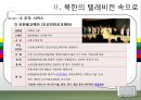 북한 TV의 즐거움 속으로.ppt 21페이지