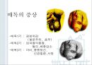 청년기의 성행동과 문제 [성적발달] 70페이지