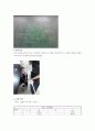 [실험보고서] 공기 중의 음속 측정 2페이지