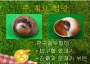 교재교구 제작 발표회 3페이지