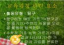 교재교구 제작 발표회 4페이지