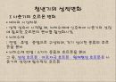 청년기의 특징적 신체 변화.ppt 18페이지