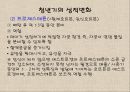 청년기의 특징적 신체 변화.ppt 27페이지