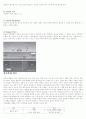 소리의 세계 -심리음향 [Psychoacoustics]효과에 대한 조사 3페이지