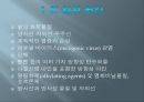 막걸리의 항암효과 5페이지