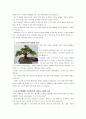 [글쓰기] 나의 재산목록 3 - 부득이한 이유로 자신의 소유물을 가까운 사람에게 선물하게 되었다고 가정하고, 이중 가장 소중하게 생각하는 물건 3개를 선택하여 각각 다른 사람에게 주는 편지글 3편을 쓰시오 4페이지