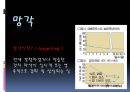 [실기교육방법론] 기억과 망각에 대해서 8페이지
