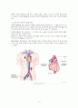 협심증(Angina pectoris) 케이스  8페이지