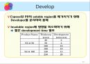 photolithography 17페이지