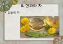 한과의 세계화 15페이지