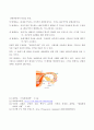 난할 2페이지