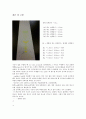 광합성 색소의 chromatography 4페이지