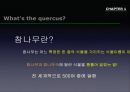 참나무 (대표적 수종의 구별, 참나무의 이용).PPT자료 3페이지