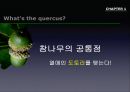 참나무 (대표적 수종의 구별, 참나무의 이용).PPT자료 6페이지