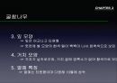 참나무 (대표적 수종의 구별, 참나무의 이용).PPT자료 16페이지