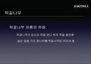 참나무 (대표적 수종의 구별, 참나무의 이용).PPT자료 18페이지