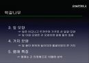 참나무 (대표적 수종의 구별, 참나무의 이용).PPT자료 20페이지