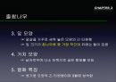참나무 (대표적 수종의 구별, 참나무의 이용).PPT자료 24페이지