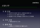 참나무 (대표적 수종의 구별, 참나무의 이용).PPT자료 28페이지