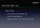 참나무 (대표적 수종의 구별, 참나무의 이용).PPT자료 37페이지