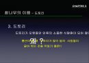 참나무 (대표적 수종의 구별, 참나무의 이용).PPT자료 46페이지