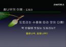 참나무 (대표적 수종의 구별, 참나무의 이용).PPT자료 48페이지